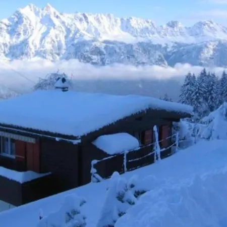 Chalet Wiesehockli - Charmingstay