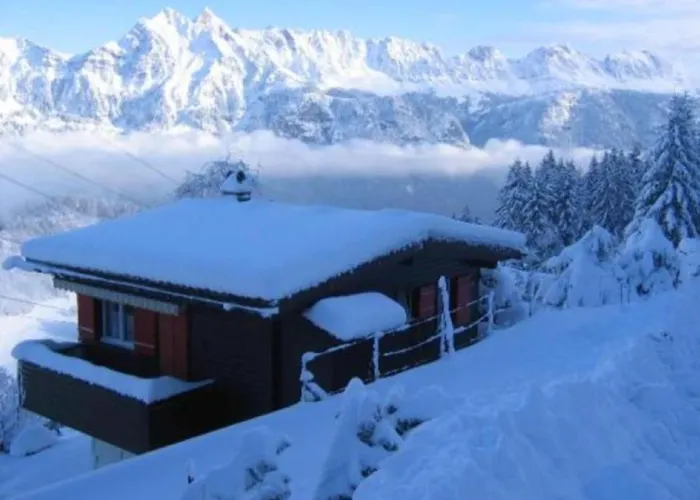 Alpesi faház Wiesehockli - Charmingstay